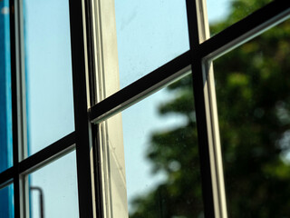 Window glass, looking out the window, seeing a big tree