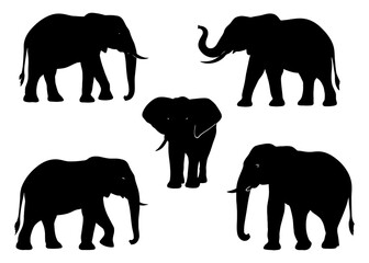 A set of five black and white elephant silhouettes. The elephants are all facing the same direction. Vector. Silhouette illustration.