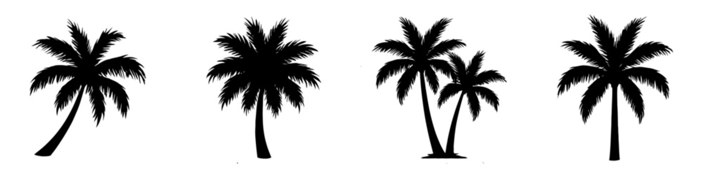 Four black and white images of palm trees. The trees are all different sizes and are all facing different directions. Vector. Silhouette illustration.