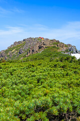 早池峰山の山頂部