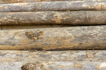 Stacked logs with numbered markings symbolizing the timber industry and deforestation impact. Concept of wood production, sustainable forestry, and environmental conservation awareness