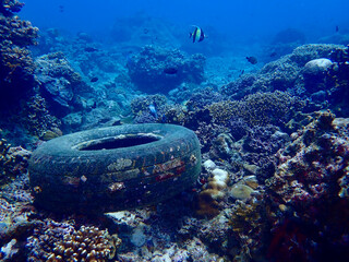 An old tire lies on the ocean floor surrounded by vibrant coral reefs and tropical fish. The underwater photo highlights marine pollution and the contrast between nature and human waste. © Houston