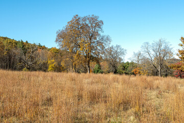 the landscape of hanks meadow  in the quabbin