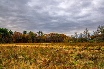 Autumn Landscapes with Lake and Trees