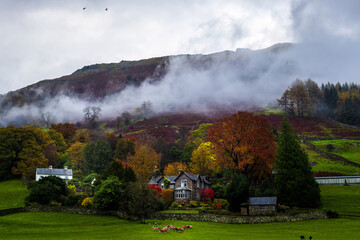 Lake district