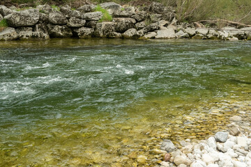 Wild Mountain River Flow, Scenic Alpine Landscape.