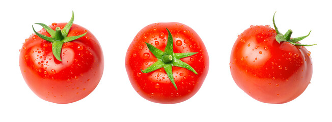 tomatoes on a white background © Amelia NF