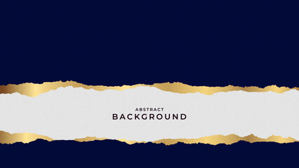 Elegant design with an irregular contour texture. A combination of color, gold effect, and texture. Ideal for product design, covers, labels, and corporate backgrounds. Vector illustration