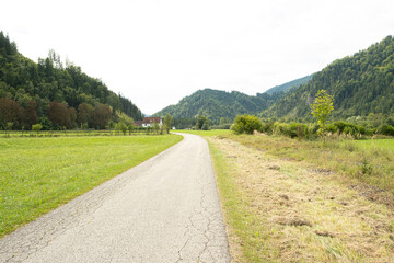 Trail Between Green Meadows with Forest in the Background