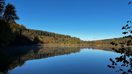 Fototapeta premium reflection of trees in the lake