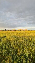 Les lotissements de Chevry vus depuis les champs au coucher du soleil (Île-de-France)