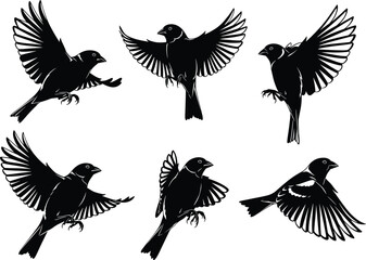 Obraz premium Bird silhouette vector set in flight and landing poses, black illustrations with wing spread for nature, wildlife, decor, study