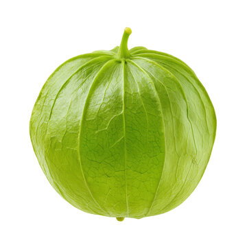 A single ripe green tomatillo fruit with its papery husk intact, isolated on transparent background