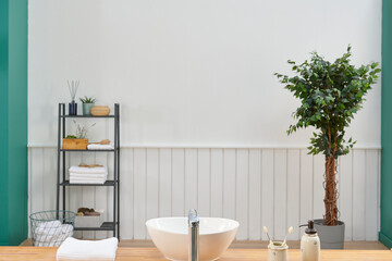 Modern and tranquil bathroom or spa interior with a vessel sink, minimalist shelving unit holding towels and accessories, and a large potted tree against a white wainscoting wall.