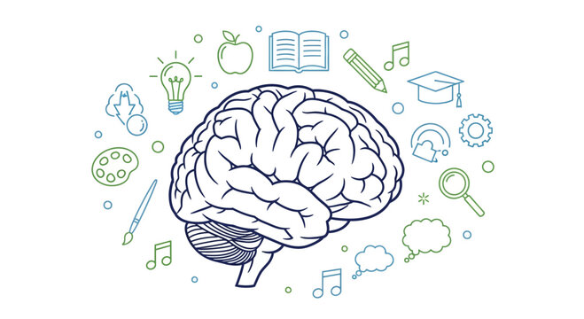 Illustration showcasing the human brain surrounded by symbols of knowledge and creativity