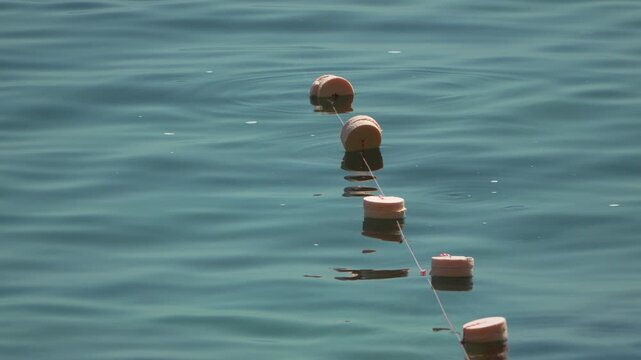 Buoys, water, calm string floating on serene sea surface