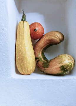 r&eacute;colte  du jour ,courges et courgette jaune , l&eacute;gumes du jardin , Provence , 