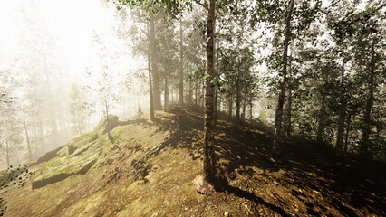 A tranquil forest path, surrounded by tall trees, is shrouded in soft mist. The warm sunlight filters through the leaves, creating a serene atmosphere perfect for a quiet walk.