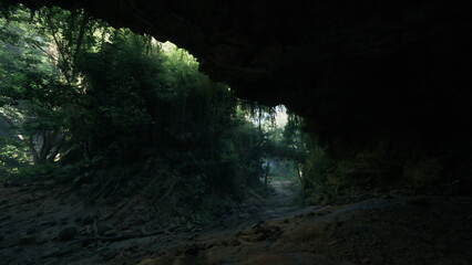 Within a serene cave, rays of sunlight break through the rocky opening, illuminating a tranquil path that leads into a vibrant forest filled with greenery and life.