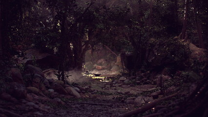 In a dense forest, a winding path leads through lush greenery, bathed in gentle, dappled sunlight. Shadows and mist enhance the mystical feel of this hidden woodland wonder.