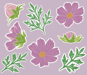 A pretty illustration of purple cosmos flowers and green leaves. The design is simple and fresh, perfect for stickers, prints, or floral decorations with a soft and natural look.