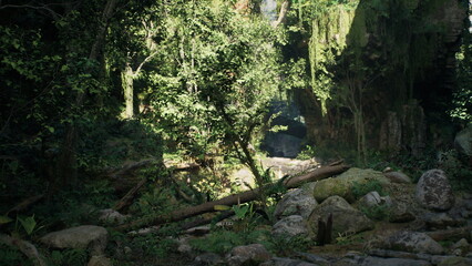 Sunlight filters through the dense canopy, illuminating a serene forest clearing. Stones and foliage create a tranquil space in this vibrant natural setting.