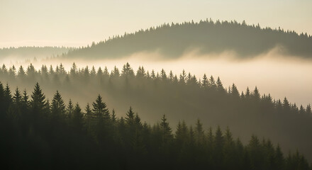Misty Forest Hills at Dawn - A Serene Landscape.