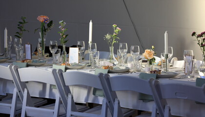 Table setting at simple, but elegant wedding, or festive birthday celebration.  Budget friendly, cost of living. save money with do it yourself. Cool temperature colored light