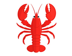 Illustration of a vibrant red lobster on a white background, perfect for seafood themes