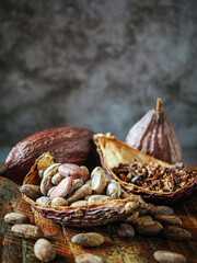 Close-up of brown cocoa beans and cocoa nibs with dry cacao pod