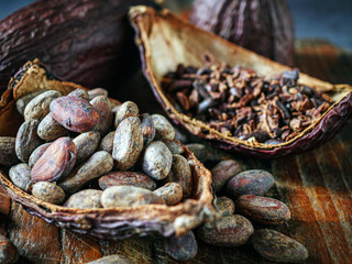 Close-up of brown cocoa beans and cocoa nibs with dry cacao pod