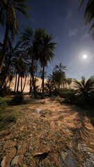 A serene desert oasis is illuminated by soft moonlight, featuring tall palm trees and a sandy landscape. The calm evening air enhances the sense of tranquility and peace.