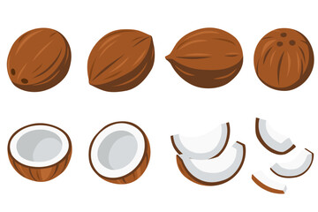 Coconuts and coconut half with leaves isolated on a white background. Vector illustration cartoon flat coconut icon isolated on white background.	