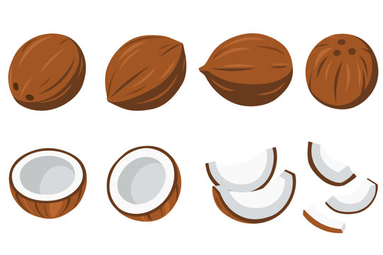 Coconuts and coconut half with leaves isolated on a white background. Vector illustration cartoon flat coconut icon isolated on white background.	