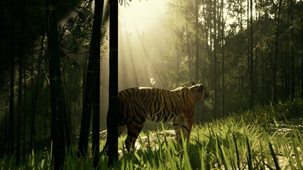 A tiger walks gracefully through a vibrant bamboo forest, basking in the warm light of the morning sun. The peaceful atmosphere showcases the beauty of nature and wildlife.