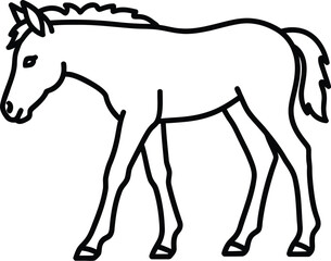 Simple outline drawing of a young horse walking