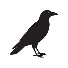 Fototapeta premium Black Crow Silhouette Bird Vector Illustration on white background