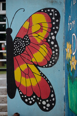 butterfly on a wall