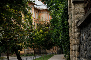 historical old city street path way low light dusk moody atmosphere European gothic aesthetic of cold stone wall and floor tile and trees along road way
