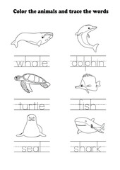 Learning Worksheet Whale Dolphin Turtle Fish Seal Shark Coloring Tracing Aquatic Animal