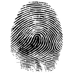 Fingerprint identification in forensic science