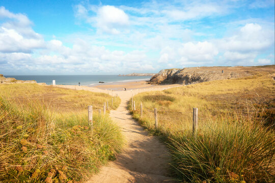 sentier qui se dirige vers la mer au milieu des dunes, la plage de port bara sur la c&ocirc;te sauvage de quiberon en Bretagne dans le Mobihan
