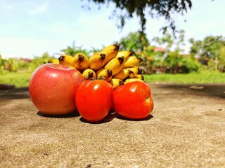 Natural vegan food from earth