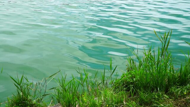 Italy, Pozzuoli, Lake Averno - leafs in the wind on the waters of lake Averno