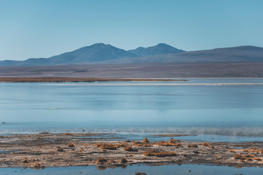laguna salada lake in the mountains of bolivia