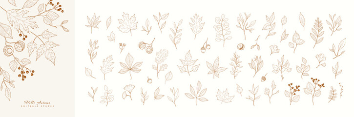 Plakat Autumn set of different seasonal brunch of plants, fall leaves and berries. Delicate and elegant botanical design elements