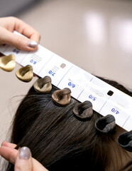 Hairdresser selects hair color for the client. Coloring, haircuts, and professional hair care. Close-up. Copy space. Selective focus.