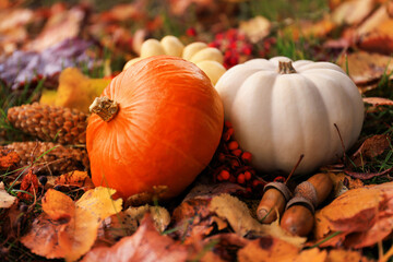 A decorative orange pumpkin and a white pumpkin rest on a bed of golden autumn leaves. Acorns and pine cones enhance the seasonal atmosphere.