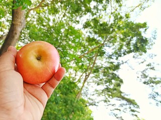 Plant-based life feels refreshing