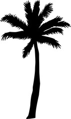 Obraz premium Black silhouette of a palm tree on white background